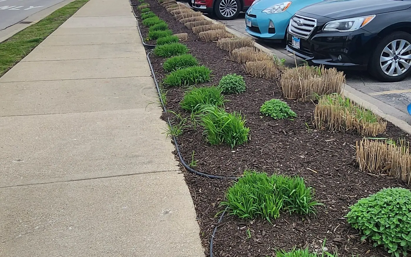 Commercial Property Maintenance by Gusjanettos Landscaping Co in Aurora, IL