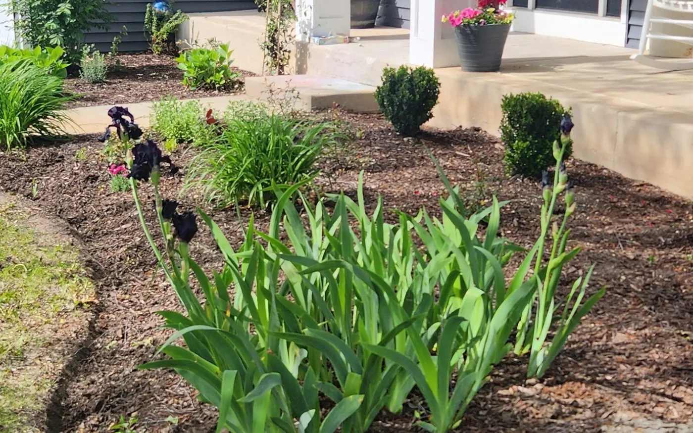 Mulch Installation by Gusjanettos Landscaping Co in Aurora, IL