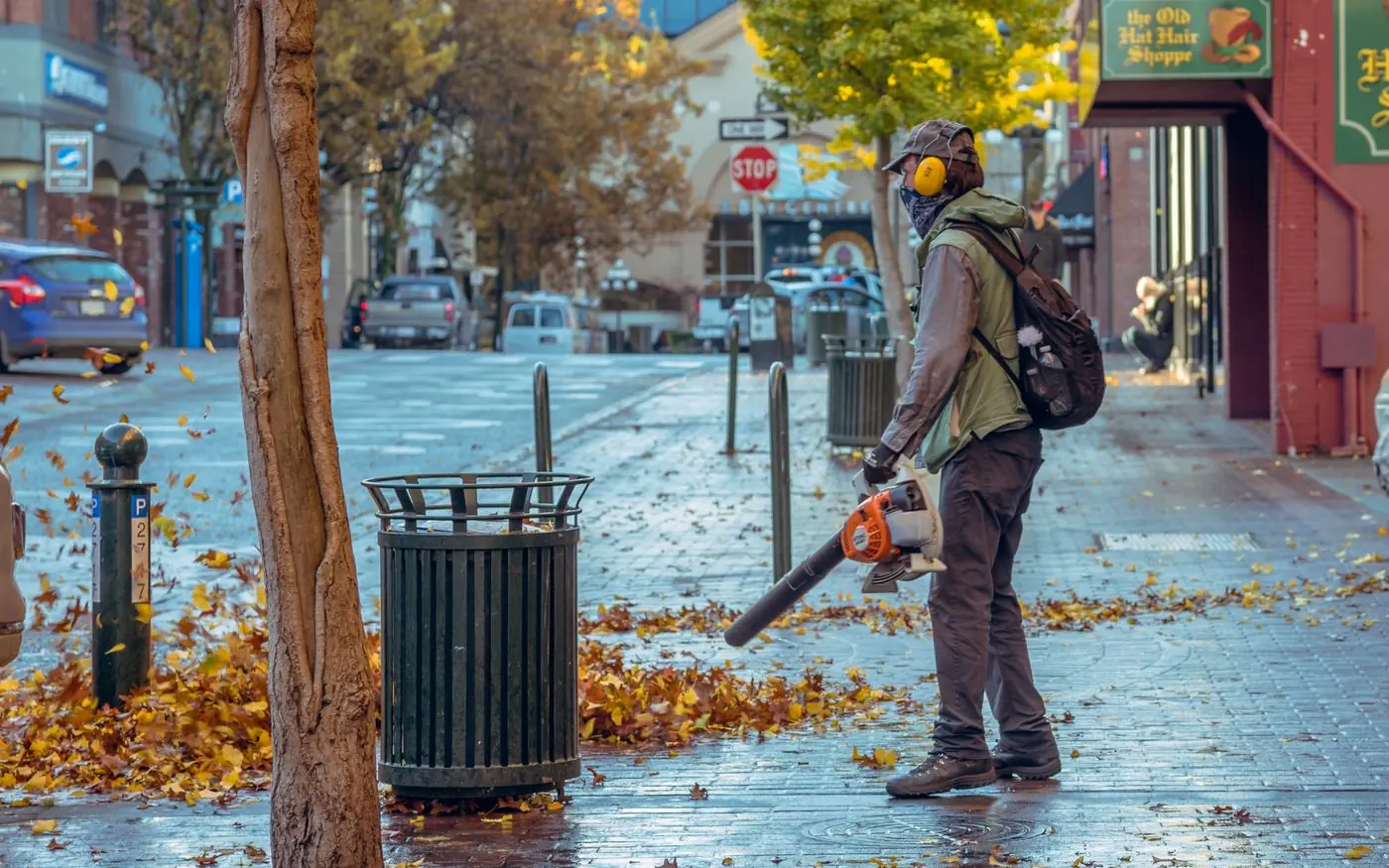 Seasonal Cleanups — Spring & Fall by Gusjanettos Landscaping Co in Aurora, IL